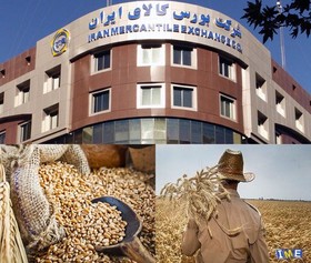 پایان سرگردانی مالی کشاورزان با حمایت بورس کالا
