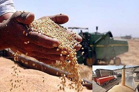 پایان دردسرهای دولت در خرید تضمینی محصولات کشاورزی