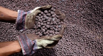 بازار گندله سنگ آهن هند در سکوت                          