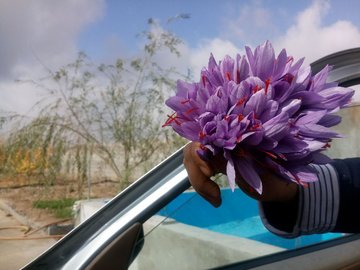انعقاد بیش از ۱۰۴ هزار قرارداد آتی زعفران در بورس کالا