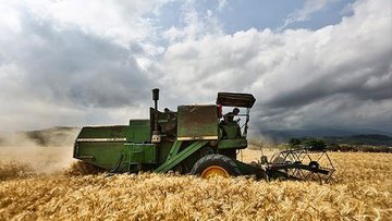 افزایش ۲ دلاری قیمت جهانی گندم در هر تن