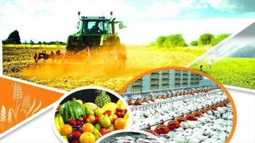 تلاش برای پذیرش محصولات کشاورزی استان همدان در بورس کالا