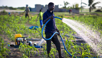 سویا، کشاورزان غنایی را به بورس کالا برد