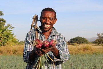 رضایت کشاورزان از معاملات قبض انبار در بورس کالای کشاورزی آفریقا 