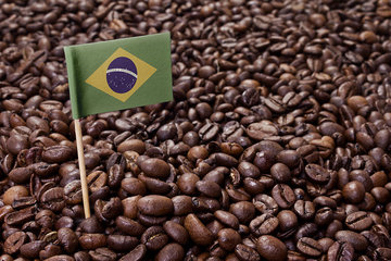 جذابیت قراردادهای آتی قهوه برزیلی برای سرمایه گذاری