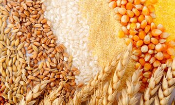 کاهش قیمت گندم و غلات در بازار جهانی
