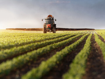 تداوم روند صعودی قیمت مواد غذایی و محصولات کشاورزی