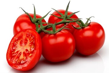 خرید حمایتی ۲۶ هزار تن گوجه از کشاورزان با کمک سازوکار بورس کالا