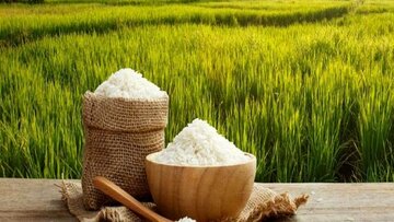 معاملات برنج در بورس کالا قد کشید/دادوستد ۴۸ تن برنج در ۳ روز