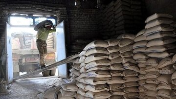 محصولات شرکت سیمان منددشتی در بورس عرضه می‌شود