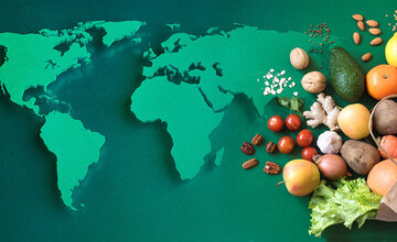 قیمت جهانی مواد غذایی به بالاترین سطح چند سال گذشته رسید