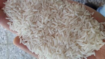 بستر شفاف بورس کالا به کمک بازار برنج می آید