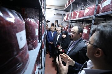 رشد کیفیت و شفافیت قیمت زعفران با انبارهای استاندارد بورس کالا