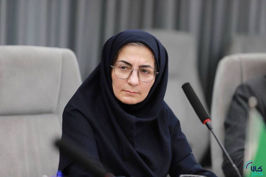 راهکارهای نوین تأمین مالی و بازارسازی در حوزه اکتشاف و بهرهبرداری معادن بررسی شد