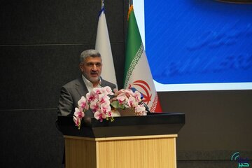 آینده بازار سرمایه از مسیر استاندارد سازی و عرضه شفاف می گذرد