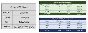 معامله ۳۰۵ کیلوگرم شمش نقره در بورس کالا