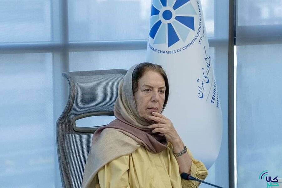 پیشنهاد اوراق بهادارسازی پروانه بهره برداری و معاملات حق امتیاز معادن