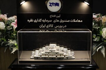 گزارش تصویری