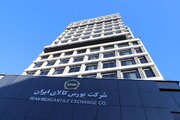 یک هفته با بورس کالا