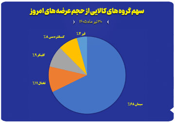 نمودار سهم گروه های کالایی از حجم عرضه های امروز (۳۰ تیر)