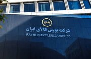 درخواست پذیرش رازیانه در بورس کالا بررسی می‌شود
